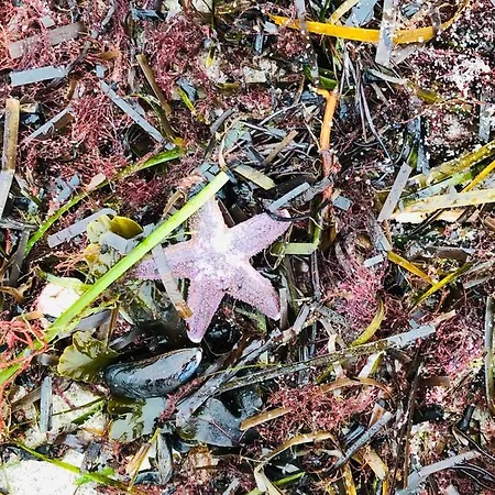 Lejlighed 258 Haus Schleswig *