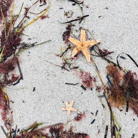 Lejlighed 258 Haus Schleswig *