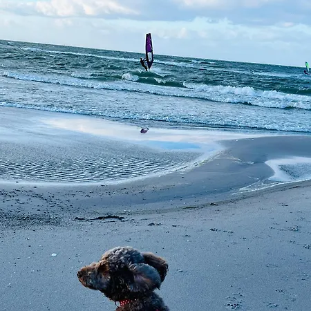 Lejlighed 258 Haus Schleswig Kalifornien